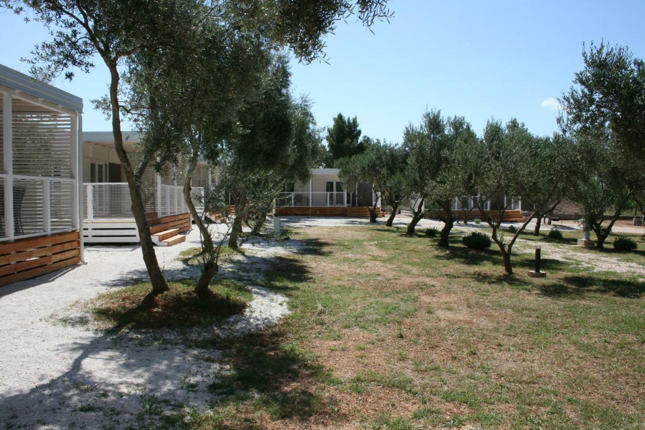 Mobile Homes Katinka, Starigrad Paklenica, Croatia Dış mekan fotoğraf