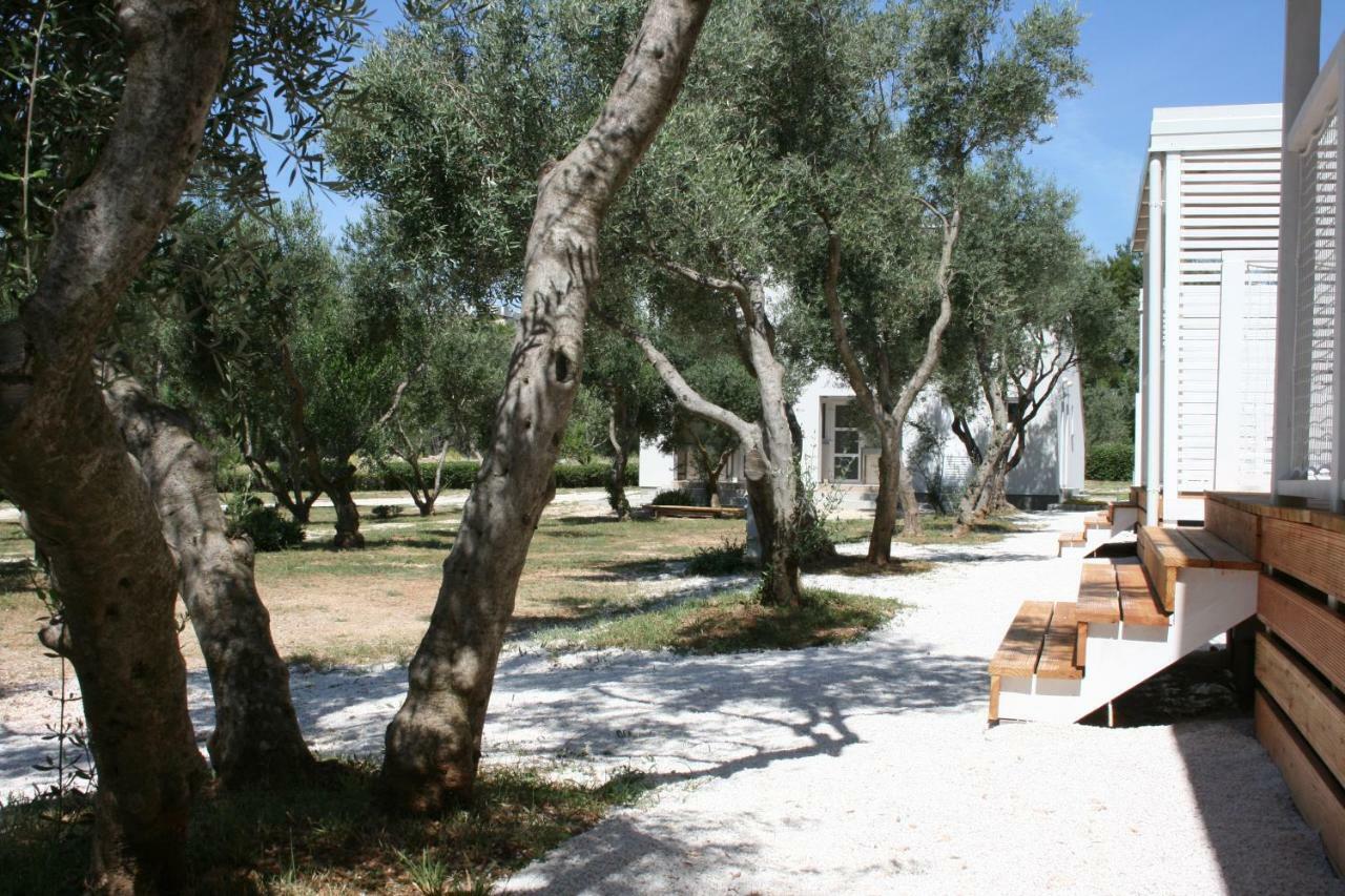 Mobile Homes Katinka, Starigrad Paklenica, Croatia Dış mekan fotoğraf